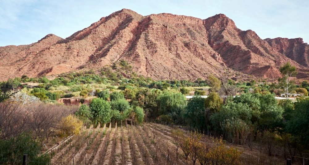 Very high altitude vineyards near Tarija in Bolivia