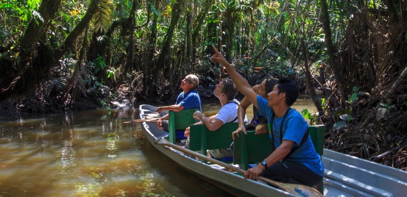 Spotting monkeys and birds by canoe