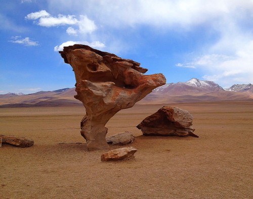 The iconic "Rock Tree" found in the Dali Desert in Bolivia