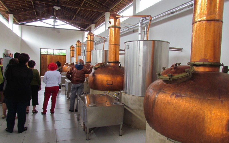 Touring a Cachaça distillery near Paraty in Brazil