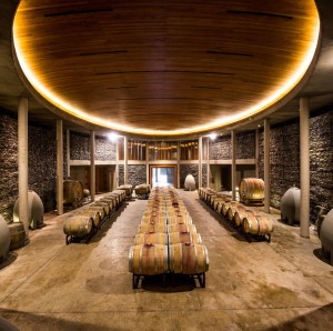 Many Chilean wineries are beautifully built