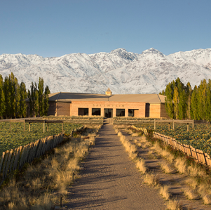 High altitude wineries in Argentina