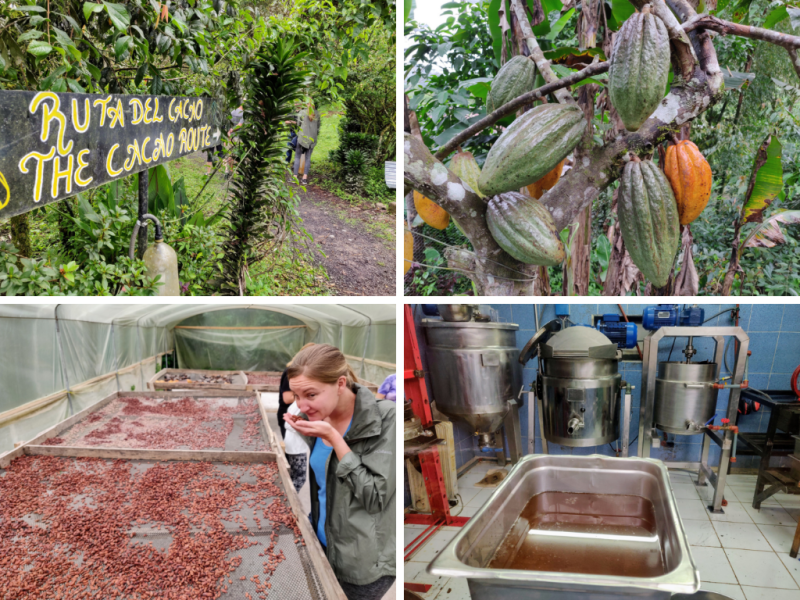 A tour of chocolate farms and factories in Mindo, Ecuador