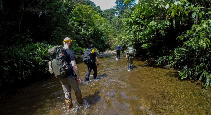 Get up close and personal with the Panamanian jungle