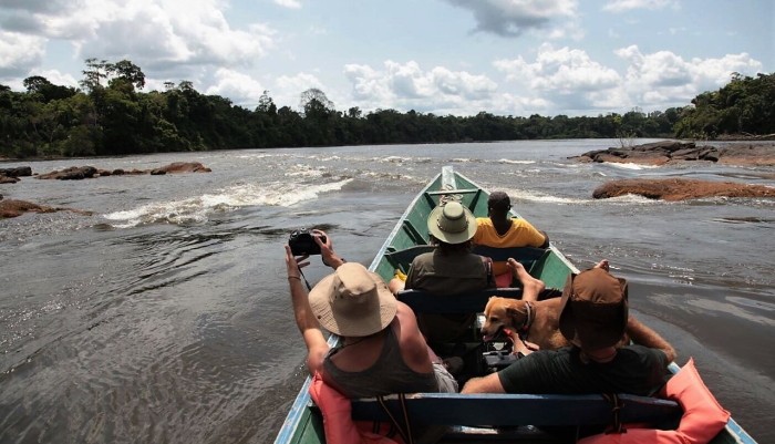 Adventures by river are the norm on this guianas tour