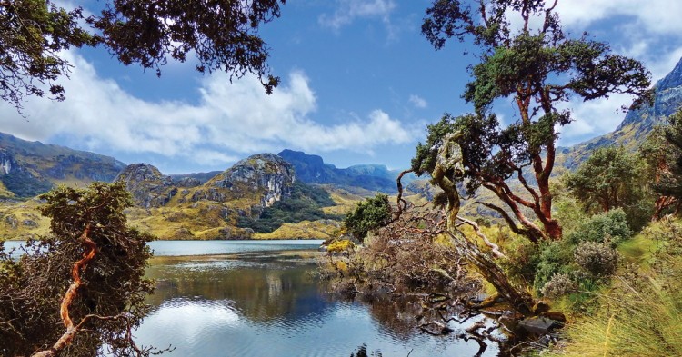 Enjoy a hike in the stunning Cajas National Park not far from Cuenca