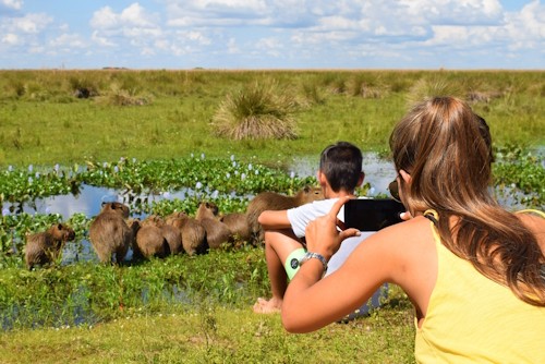 Up close and personal with the wildlife in the Esteros de Ibera wetlands