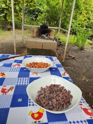 Toasting the cacao beans over a wood fire