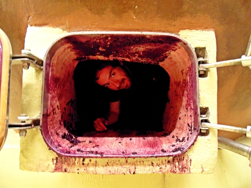 Cleaning wine tanks is no easy task.
